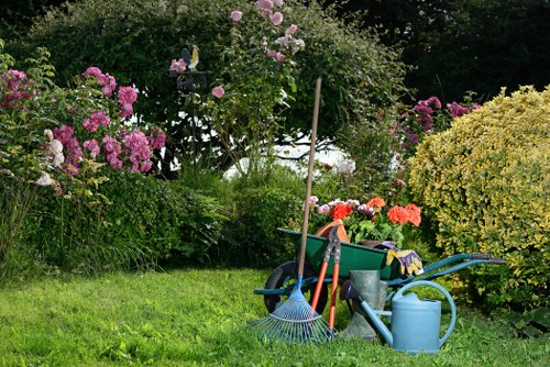 Gardener assessing a garden at the start of a complaint assessment