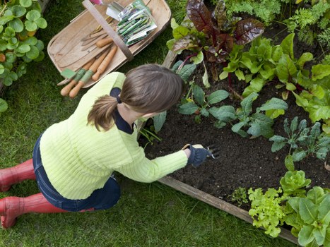 Gardener explaining service options to a customer with printed large text materials